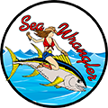 The Florida Beach Break Directory Sea Wrangler Sport Fishing in Cape Canaveral FL